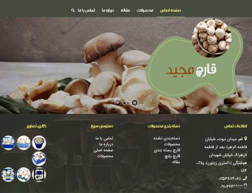 طراحی سایت قارچ مجید