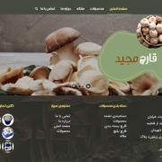 طراحی سایت قارچ مجید